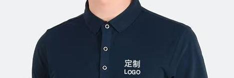 2025�������Polo����׌�����ɞ��^ȥʽ